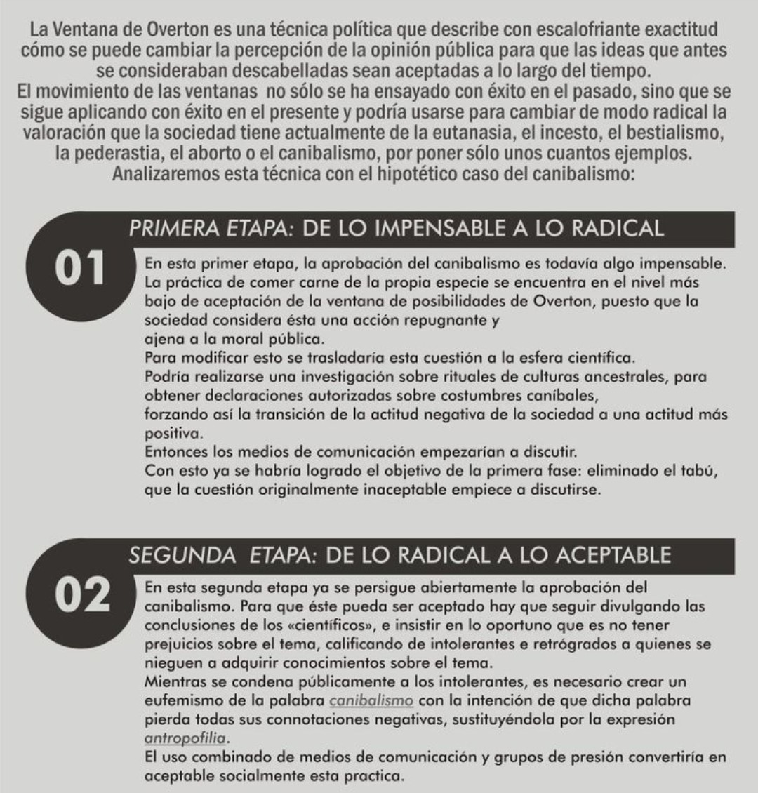 MercedesFreitas tweet media