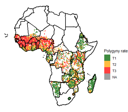 Last week on VoxDev, we featured new research by @augustin_tap @TSEinfo which explores how the impacts of changing economic conditions vary between polygynous and non-polygynous areas in sub-Saharan Africa. Here are the key takeaways from this research 🧵1/12