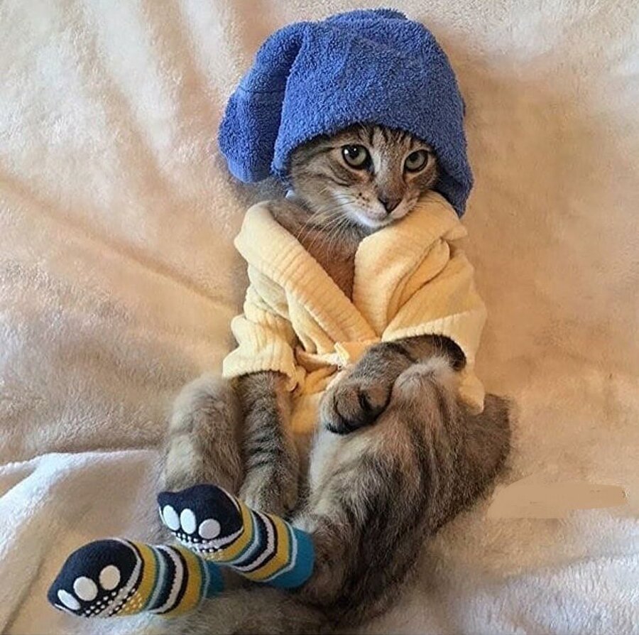 Ты такой заходишь...
А она такая...