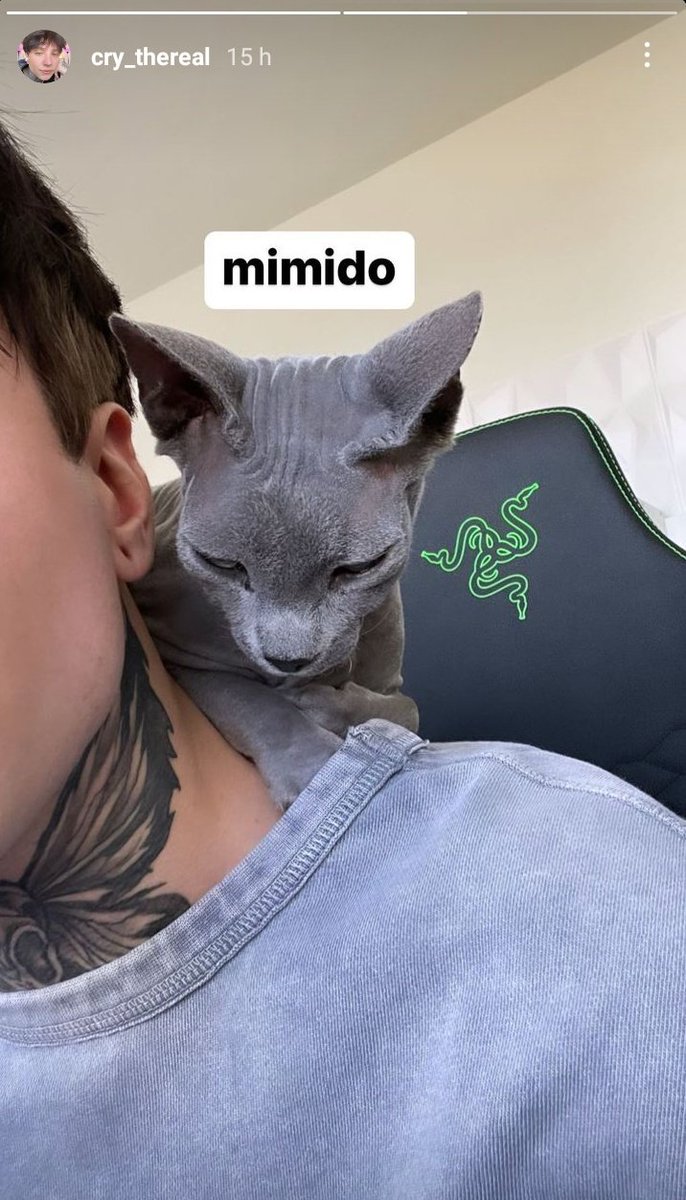Happy y Teddy updates tweet media