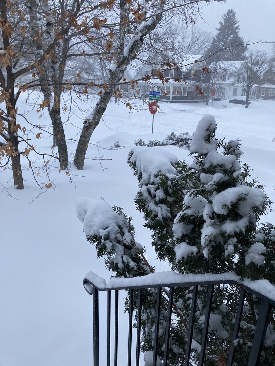 lpinbrez's tweet photo. And still coming down! #mnwinter https://t.co/MkoaDkl2k0