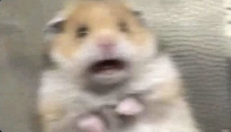 memegoatess's tweet photo. Me: I’m afraid of the Backstreet Boys 

Therapist: tell me why

Me: https://t.co/Z7xF6YmEZ5