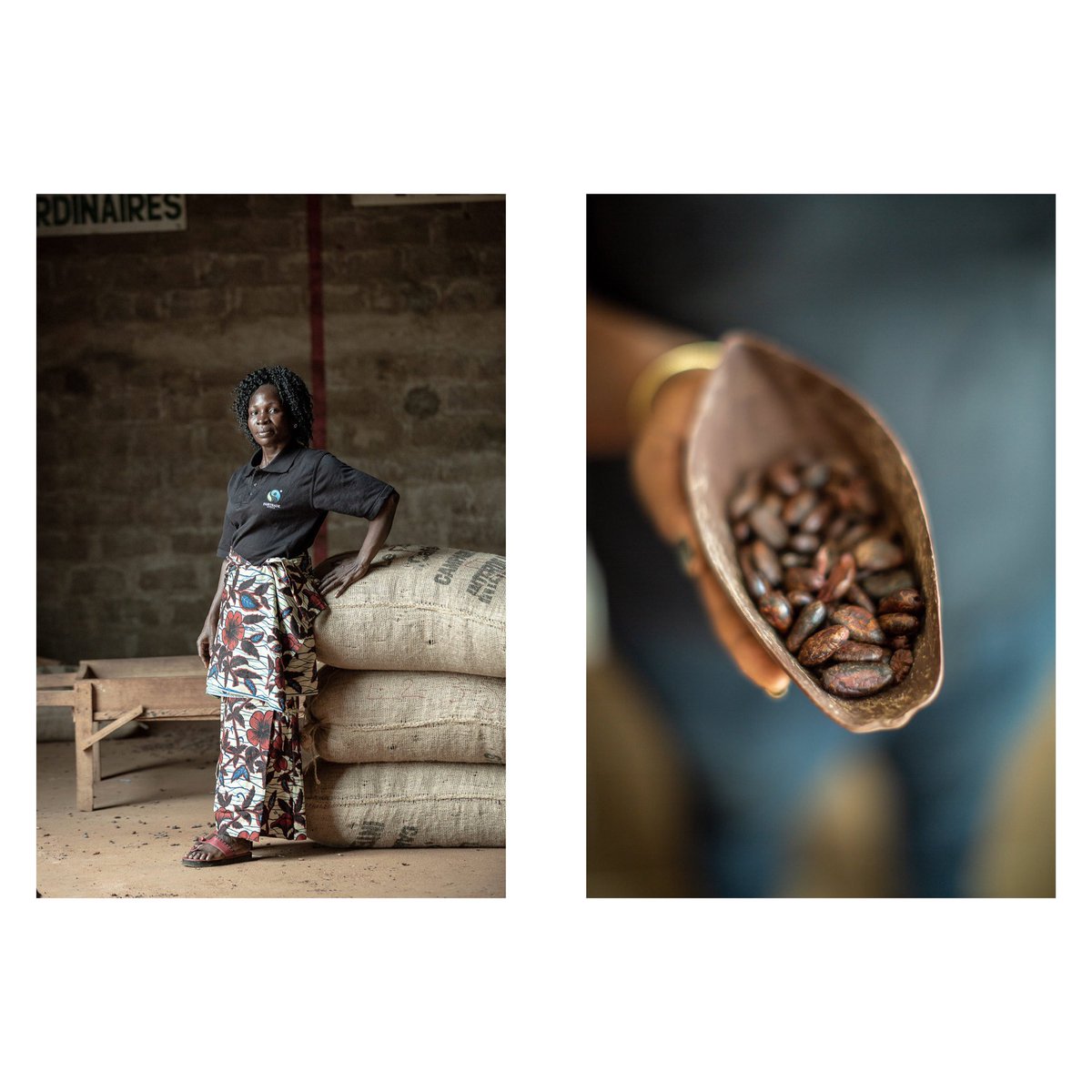 Chris Terry (@christerryphoto) on Twitter photo Cacao farmers, labourers and technicians working to harvest and ship cacao in Cotes d’Ivoire. Usually for less than 83p ($1) a day. <a href="/FairtradeUK/">Fairtrade Foundation</a> Cacao farmers, labourers and technicians working to harvest and ship cacao in Cotes d’Ivoire. Usually for less than 83p ($1) a day. <a href="/FairtradeUK/">Fairtrade Foundation</a>