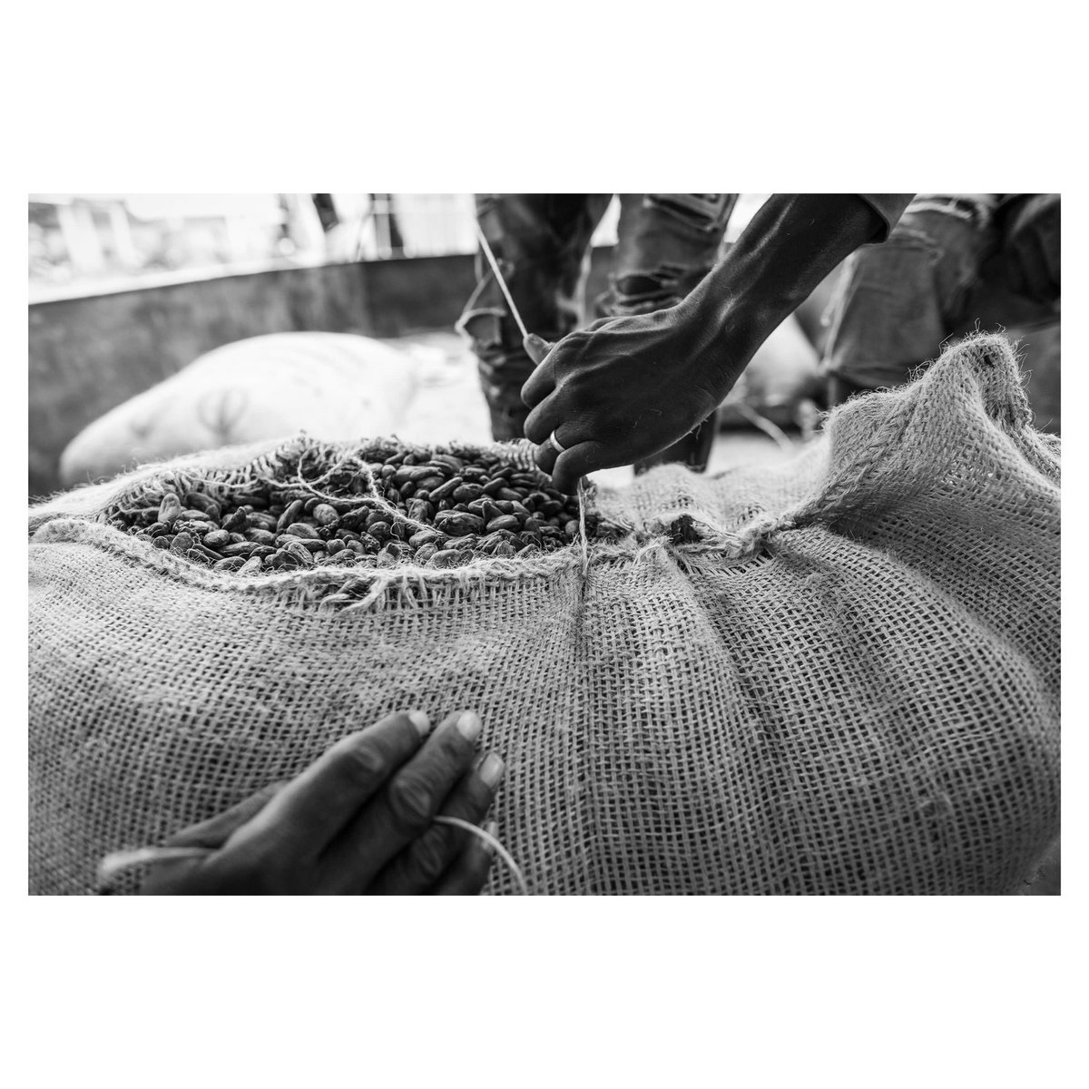 Chris Terry tweet media