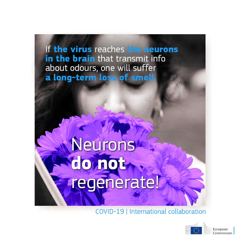 EU_JRC's tweet photo. It’s been 3 years since the world battles #COVID19🦠

Making sense of the tsunami of biological information about the disease became an emergency!

But how to do it in an effective way? The @CiaoCovid project was the answer.

Read the full story⬇️

#JRCintegrate @EU_Health
