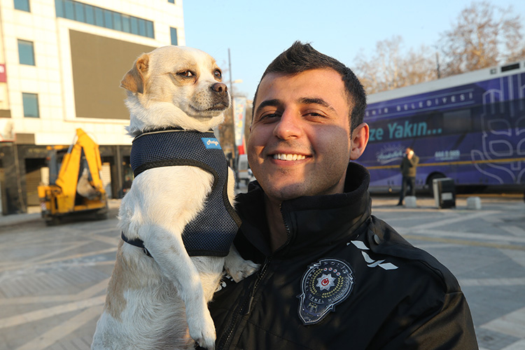 bpthaber's tweet photo. Deprem bölgesinde "Afitap" adlı köpeği çevik kuvvet sahiplendi. https://t.co/u7WkKbKuoT