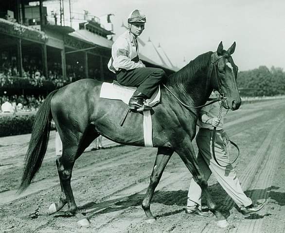 HORSERACING1002's tweet photo. GALLANT MAN 🇮🇪1954 ( MIGOLI -MAJIDEH BY MAHMOUD)
#GallantMan
 B/ Aga Khan III(Ire) Mar 20, 1954.
O/ Ralph Lowe 
T/ John A. Nerud. 26-14-4-1--$510,355 Jockey Club Gold Cup. Travers S. Peter Pan S. Nassau county H. Hibiscus S. Hollywood Gold Cup. Sunset H. Metropolitan H. Belmont S https://t.co/dGsoWB9wes