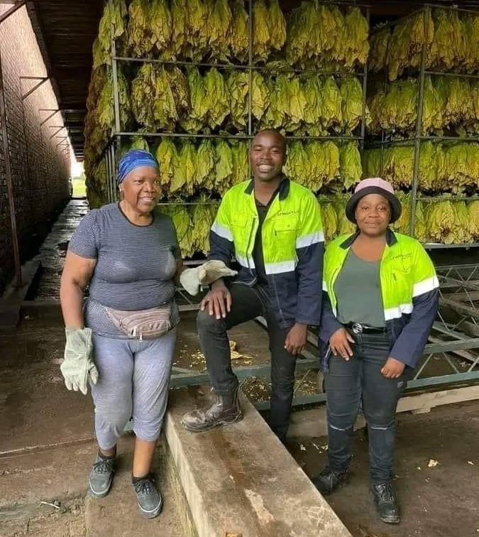 mail_zim's tweet photo. Picture :Former Vice President Joice Mujuru at her farm. https://t.co/I6uzYcvgvk