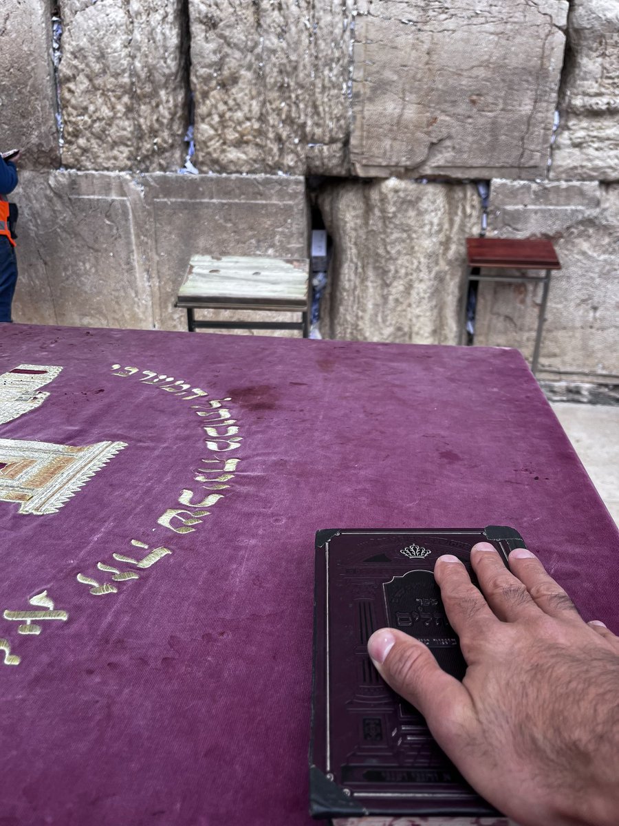 AlexandreRifai's tweet image. j’ai ressenti un besoin incompréhensible de me diriger d’abord vers le mur de lamentation
je ne sais pas prier mais j’ai mis quelques mots
que dieu protège Israël
شعرت برغبة غامضة و ملحة في التوجه إلى حائط البكاء أولاً
لا أعرف كيف أصلي لكني أضع بعض الكلمات
حفظ الله اسرائيل