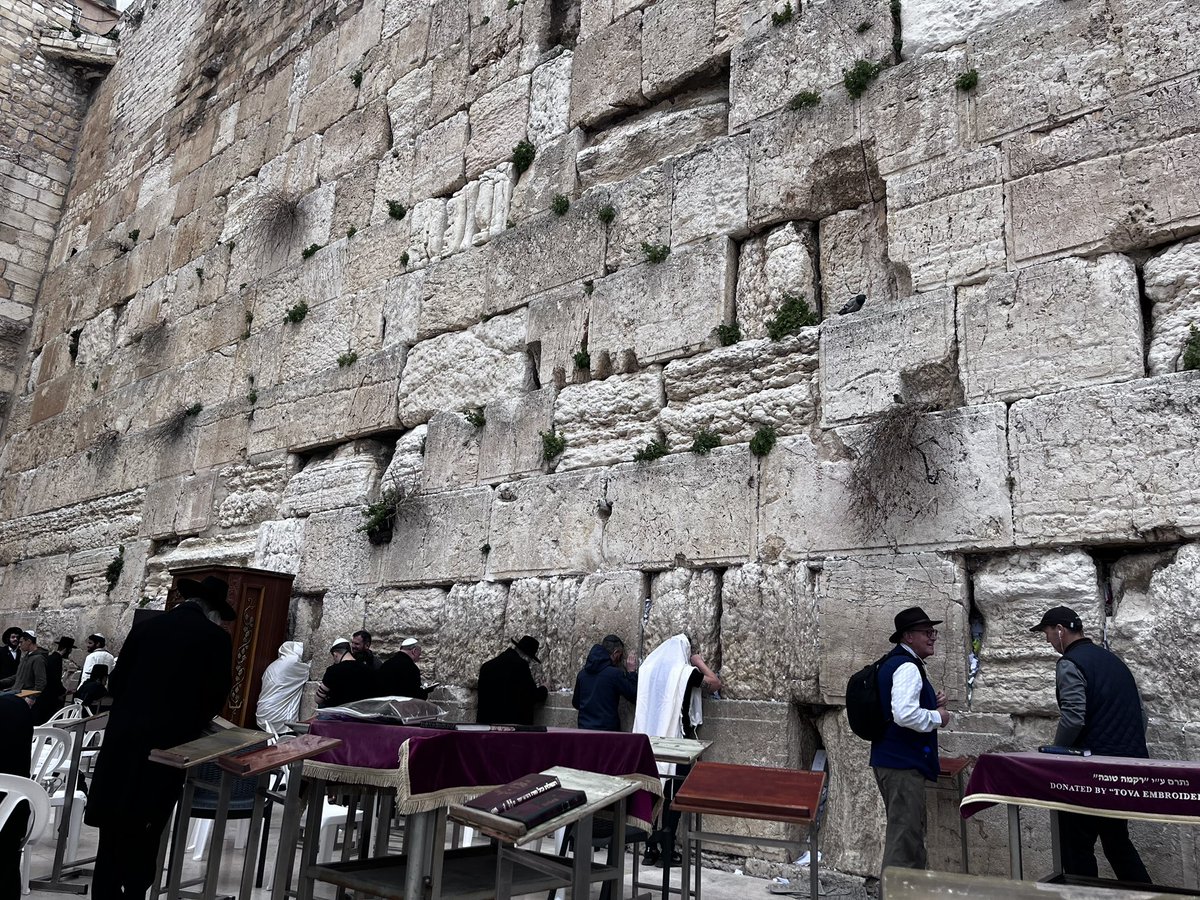 AlexandreRifai's tweet image. j’ai ressenti un besoin incompréhensible de me diriger d’abord vers le mur de lamentation
je ne sais pas prier mais j’ai mis quelques mots
que dieu protège Israël
شعرت برغبة غامضة و ملحة في التوجه إلى حائط البكاء أولاً
لا أعرف كيف أصلي لكني أضع بعض الكلمات
حفظ الله اسرائيل
