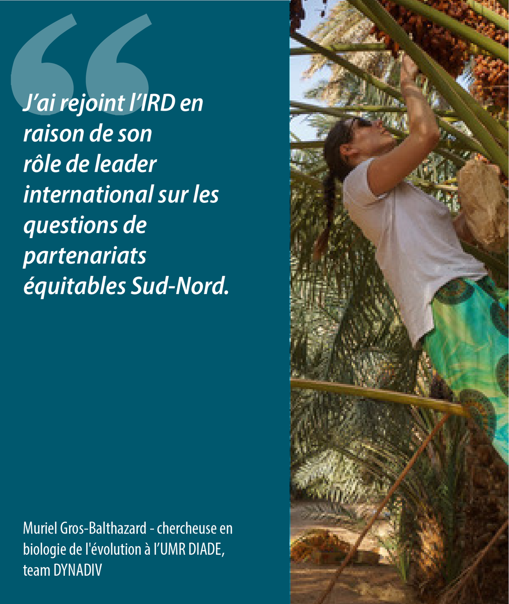 #IRDEmploi |👉#concours chercheurs 2023 de l'#IRD

🔍28 postes de dir. de recherche
🔍30 postes de chargés de recherche

🗓️Candidatures jusqu'au 14/03/23
👉ird.fr/concours-cherc…

💬+ de témoignages ird.fr/des-chercheuse…

#EnsemblePourDesSolutionsDurables