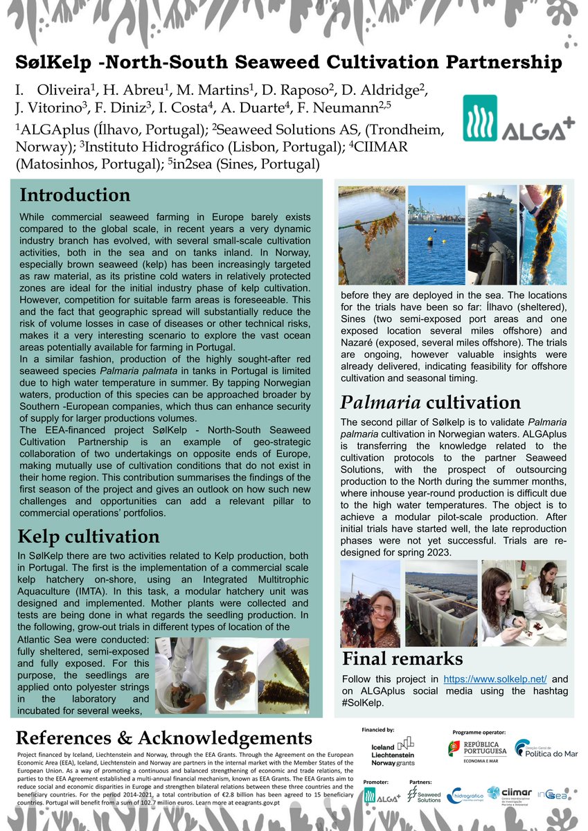 ALGAplus tweet media