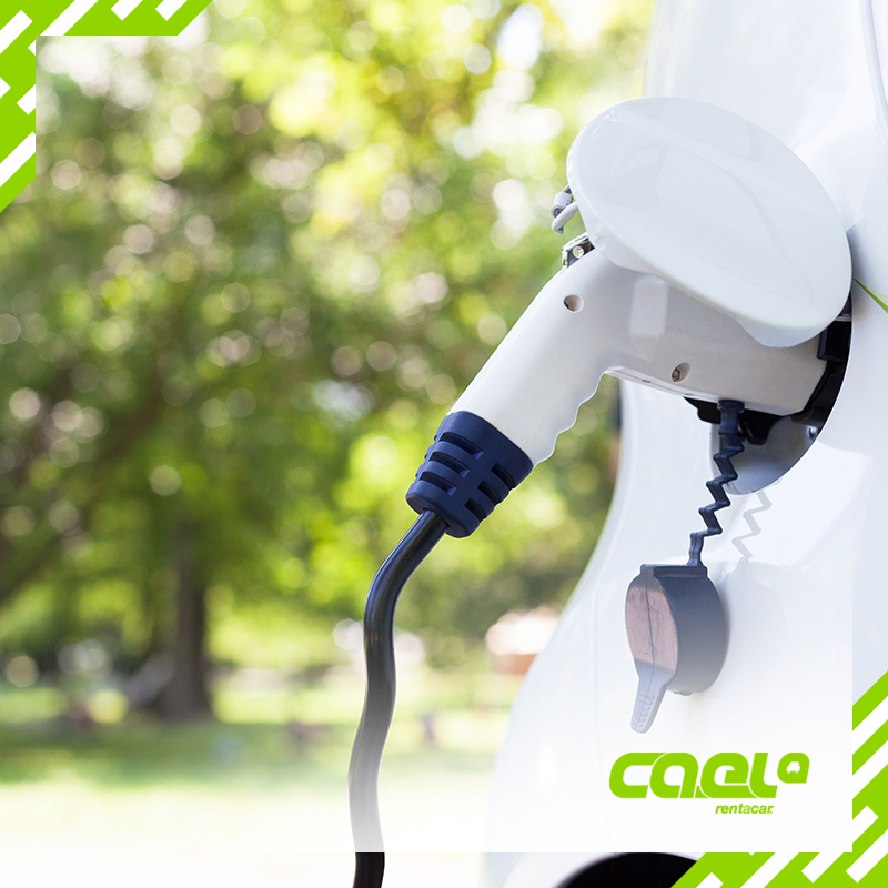 rentacarcael's tweet image. Escolha uma viatura elétrica, para uma viagem mais responsável pelo meio ambiente 🌍😉
#viaturas #eletricas #rentacar #cael