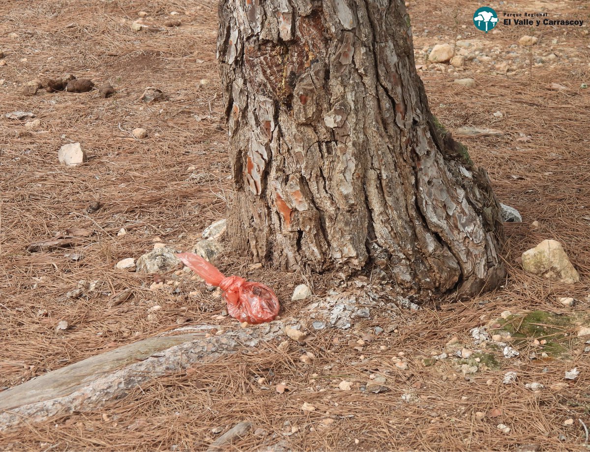 Parque Regional El Valle y Carrascoy tweet media