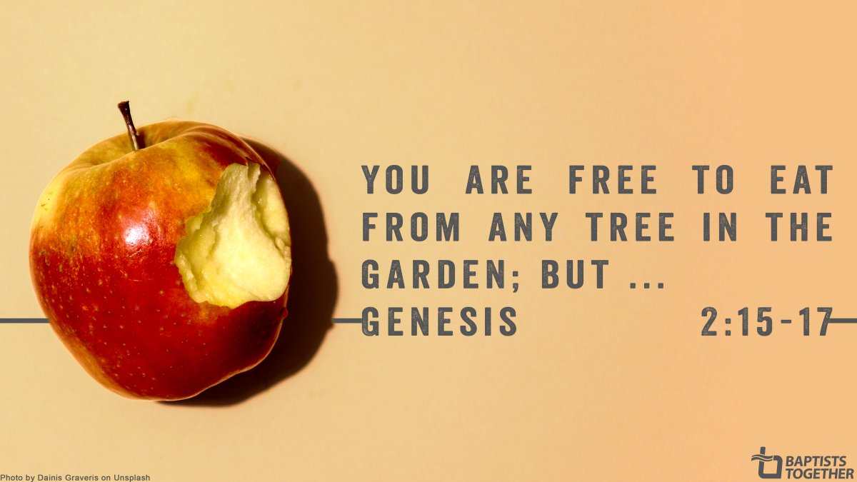 baptistuniongb's tweet photo. #lectionaryreflections
Genesis 2:15-17, 3:1-7: The Lord God commanded the man 'You are free to eat from any tree in the garden; but you must not eat from the tree of the knowledge. for when you eat from it you will certainly die'
All reflections are free: https://t.co/d43ifTO9CJ https://t.co/q4tyZQK2je