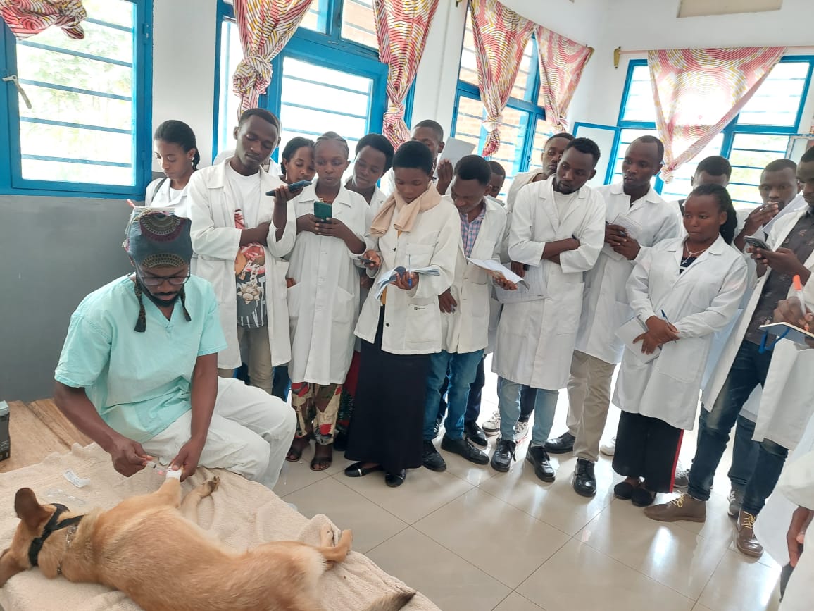 VisionRwanda's tweet photo. Again, New Vision Hospital was the host of another surgery training in collaboration with #Universityofrwanda. Topic: neuter and spaying.We were very happy that so many students were interested and did our best to make space for them.
#nvvh #vetstudents https://t.co/BPAyiM1Rv1