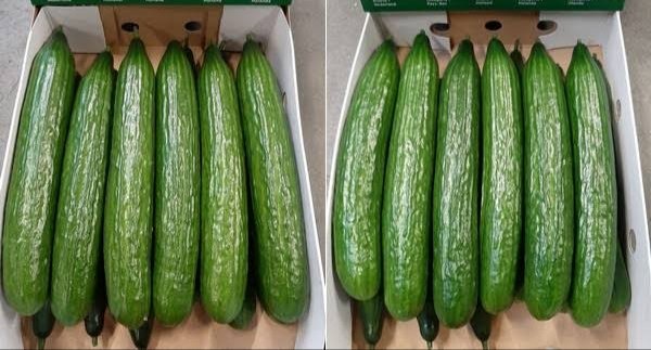 Talpur Traders tweet media