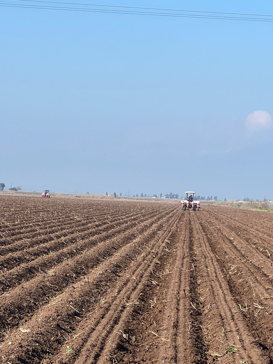 tarimyazari's tweet photo. Depremin yıktığı Hatay’da mısır ekimi başladı.

Çiftçilik böyle bir meslektir. Dünya yıkılsa da, en yakınlarınızı yitirseniz de, cenazenizi kaldırır, acınızı yaşayamadan tarlaya, bağa, bahçeye döner üretime devam edersiniz.
(Fotoğraf: Bülent Mıstıkoğlu) https://t.co/pZUTHnZC3Z