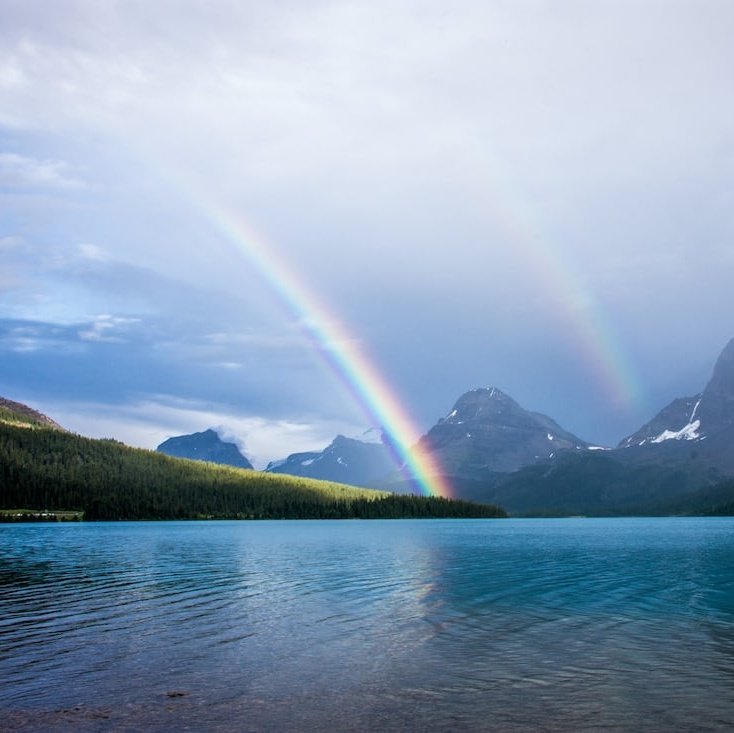 AlltheDeals100's tweet photo. #nature https://t.co/RR3bMpAJI4