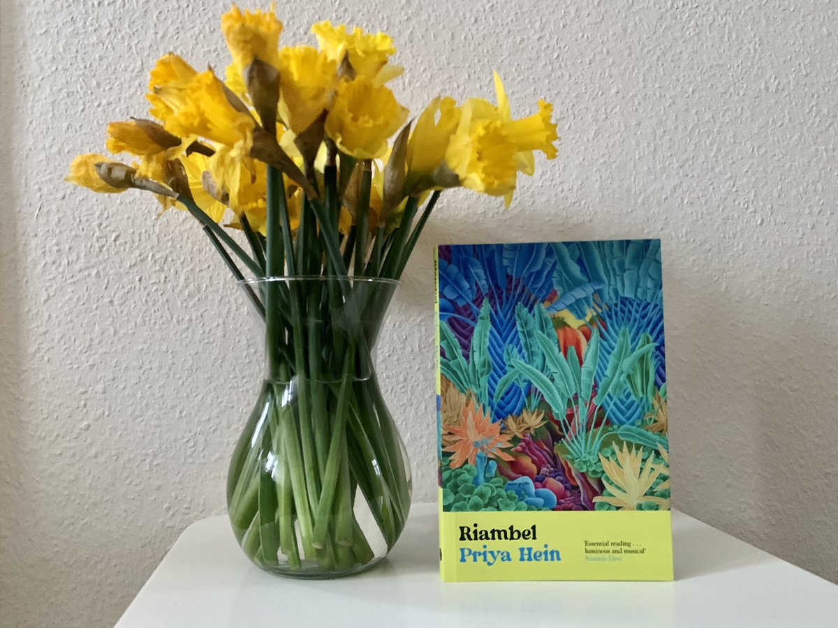 PriyaHein's tweet photo. Happy publication day Riambel! Thank you to all those wonderful people who believed in me! My debut re #Mauritius is now available in all good bookshops in the UK &amp; on kindle. Go, little book. https://t.co/m5U6sPFecf