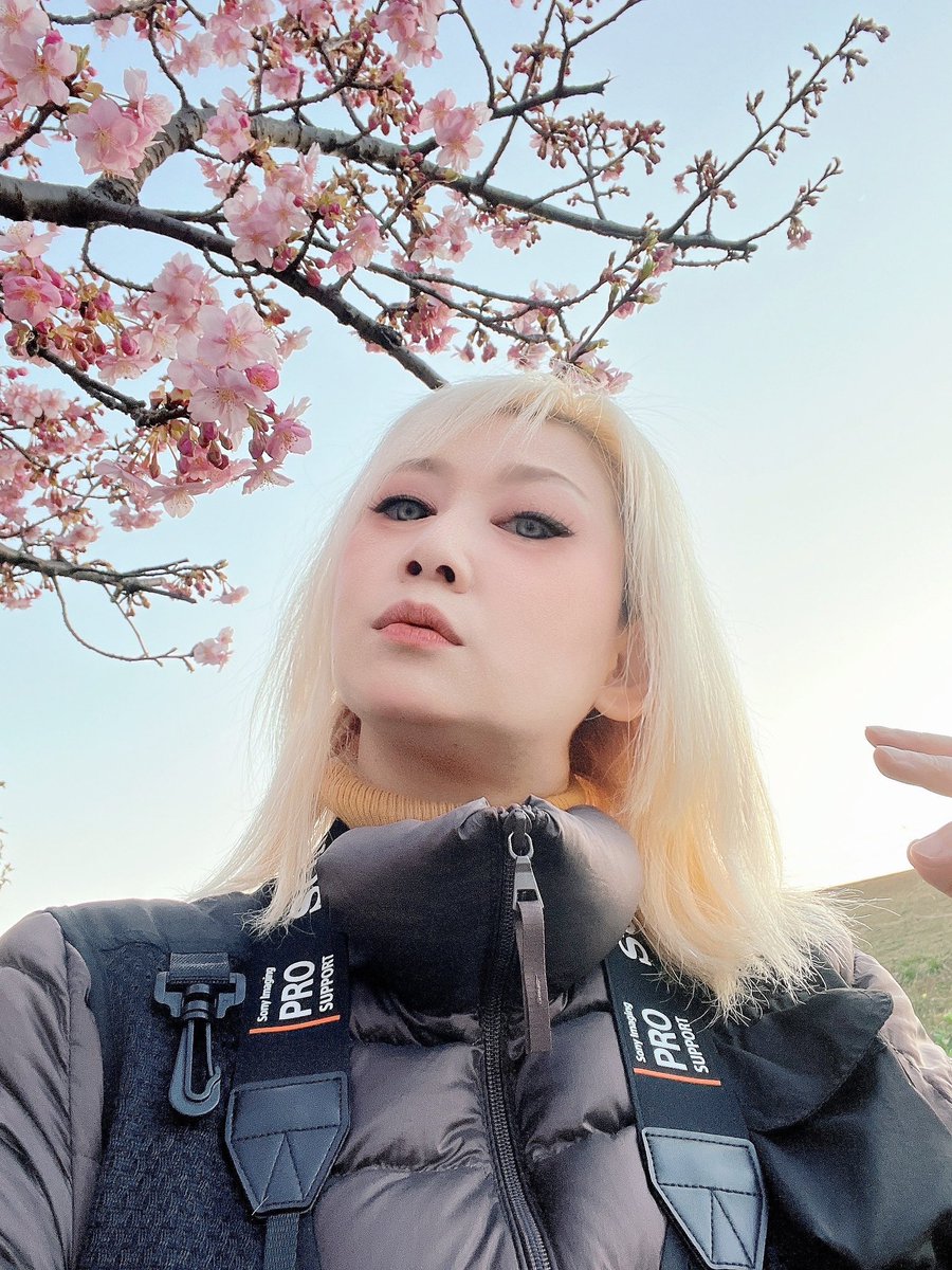 AtsukoLasp's tweet photo. 本日、春めいて矢切りの渡しから舟に乗りロケハンアドベンチャーをしてまいりました♪柴又の菜花さんでおにぎり2つテイクアウトして菜の花鑑賞し春陽に当たりながら早春を満喫いたしました。
#菜花
#撮影スポット
#StudioLASP
https://t.co/hjpuYYnoPi https://t.co/lmdvq69jnb