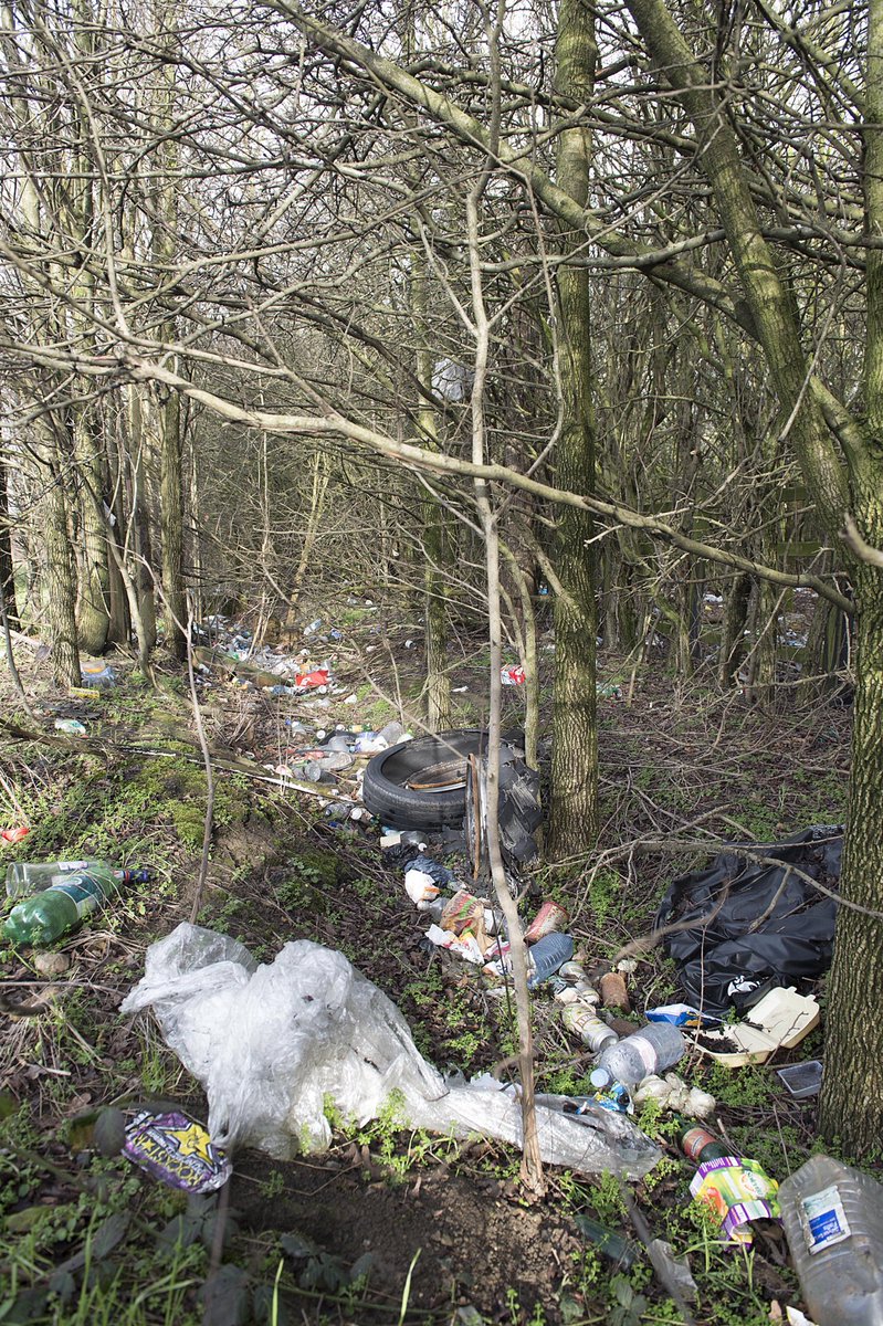 Clean Up Britain tweet media