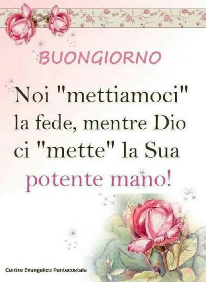 LicianaMagnante's tweet photo. https://t.co/4FIeGME4rA
