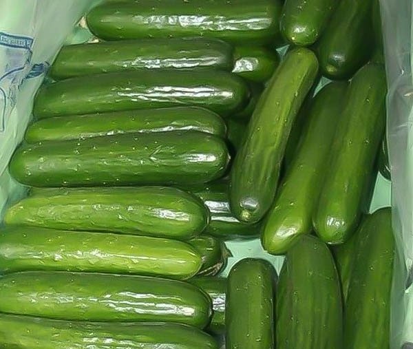 Talpur Traders tweet media