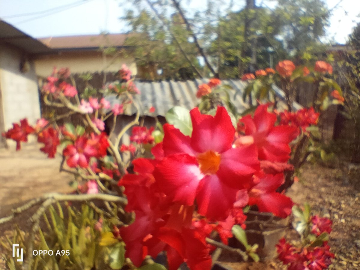 ສີ່ງໃດທີ່ມີຄ່າ 
ເຮົາຈະມີເວລາໃຫ້ມັນສະເຫມີ 
#ວ່າຊິເຊົາຫລີ້ນ ລົບອອກກະໄດ້ໂຫລດມາໃຫມ່😔