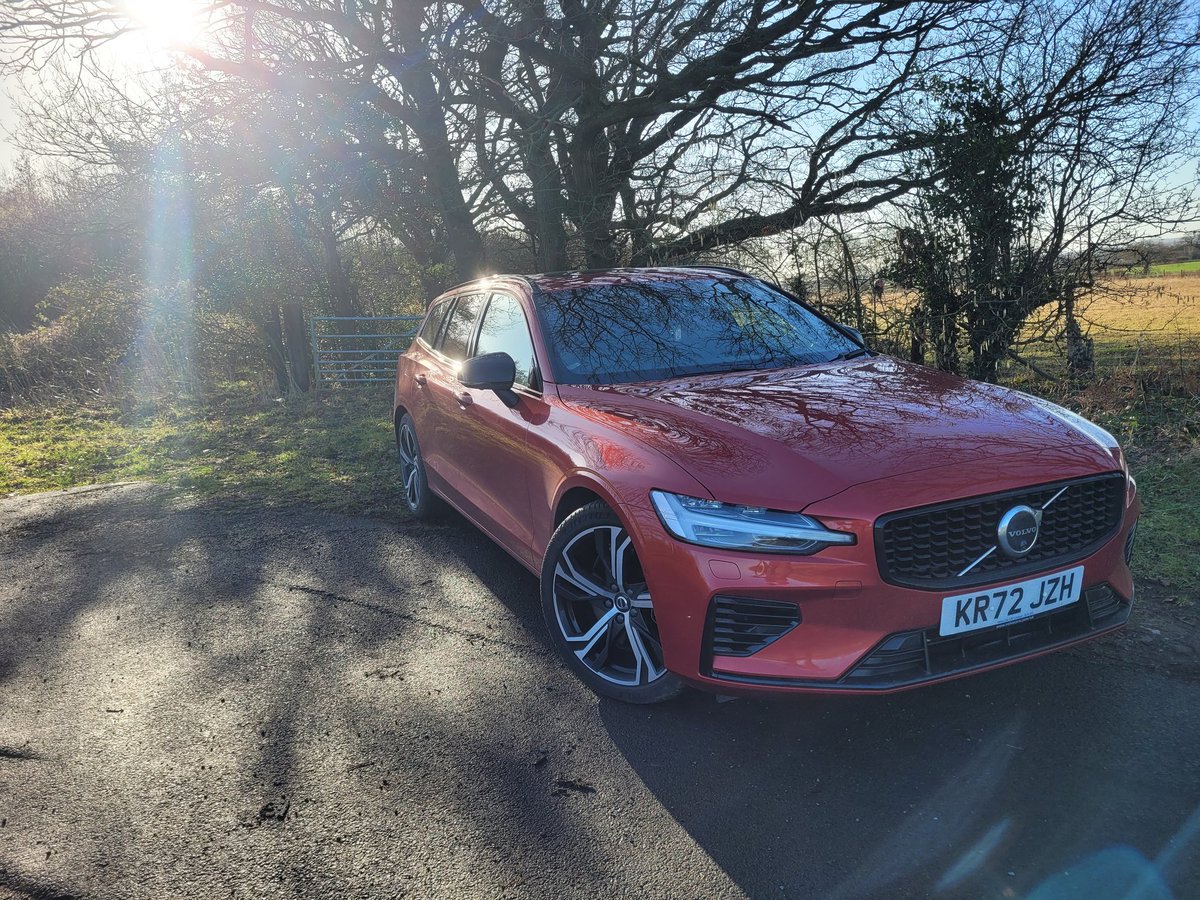 Richard Bush tweet media