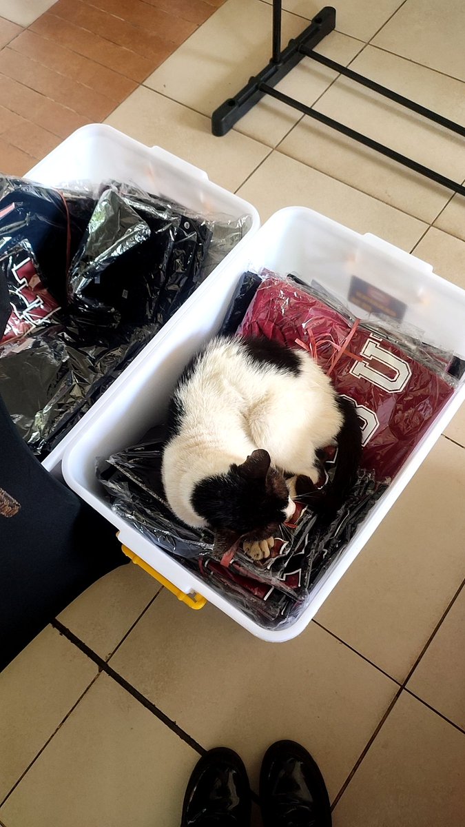_euphioria_'s tweet photo. @ui_fess Bantuin jualan baju fe ui https://t.co/f1rObrdPtn