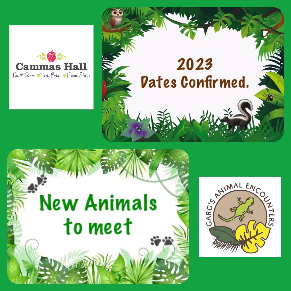 GargsEncounters's tweet photo. Confirmed dates for the 2023 season @CammasHall.
Head over to their website for full details and how to book. (Garg’s Animal Encounters do NOT handle the bookings)
#cammashallfarm #cammashall #gargsanimalencounters #2023season #animalhandling #animaleducation #animalsofinstagram https://t.co/dBbCdSuAOC