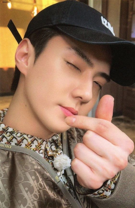 sehunloop's tweet image. love