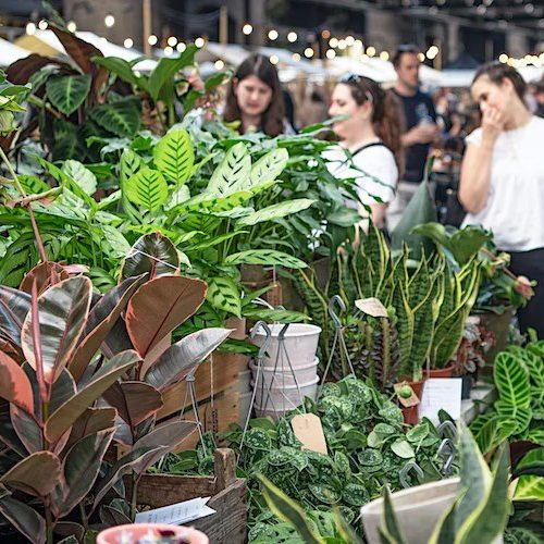 PropertyGareth's tweet photo. #Ceramics &amp; #houseplants #market returns to #peckham!😍🎍🪴
Featuring over 80 independent #ceramicartists and #plantsellers, you're bound to find a new addition to the #home!🎋 https://t.co/FrAk2GMaR9