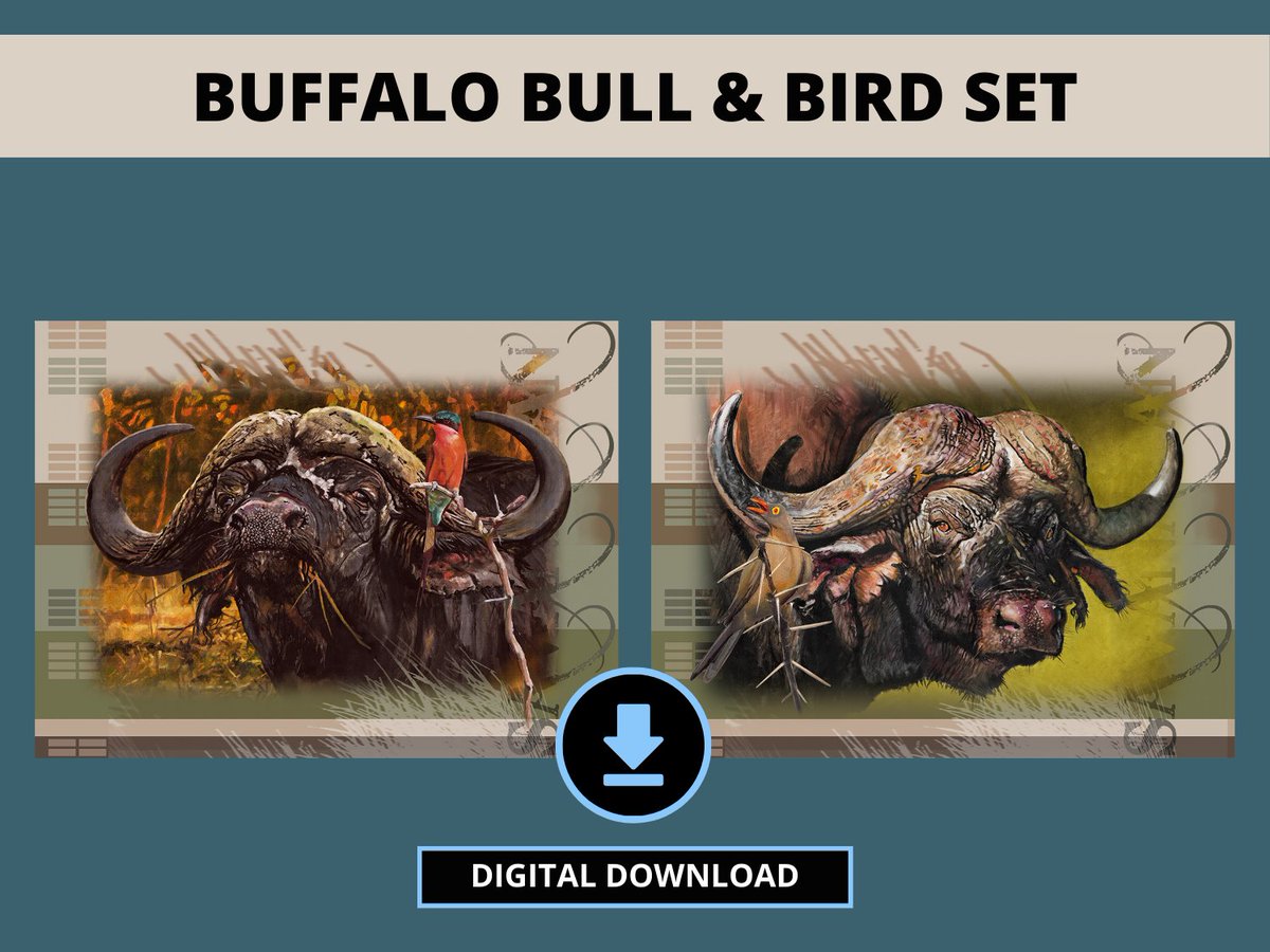 HBS_art's tweet photo. Cape Buffalo Set

https://t.co/ct2sAxfS9o

#capebuffalo #buffalo #wildlife #wilderness #bull #outdooradventure #safari #wildlifeart #decor #nature #natural #mancave #artformen #africanwildlife #travel #animal #AnimalsLover #animals #bull #buck #outdoorlife #WWF #conservation https://t.co/QwcbTk498y