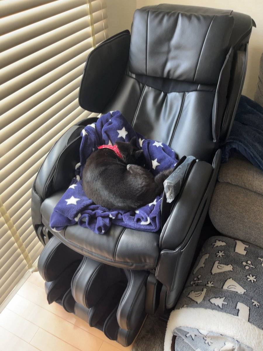 Shibainukonatu's tweet photo. マッサージチェアで眠るこなつ🐶
暖かいのかな？

#柴犬 #豆柴こなつ #犬  #黒柴 #豆柴
#shibainu #shiba  #pets #愛犬
#lovedog #멍스타그램 #개스타그램　#시　#dog  #pet  #animal https://t.co/EWclQ0lqMC