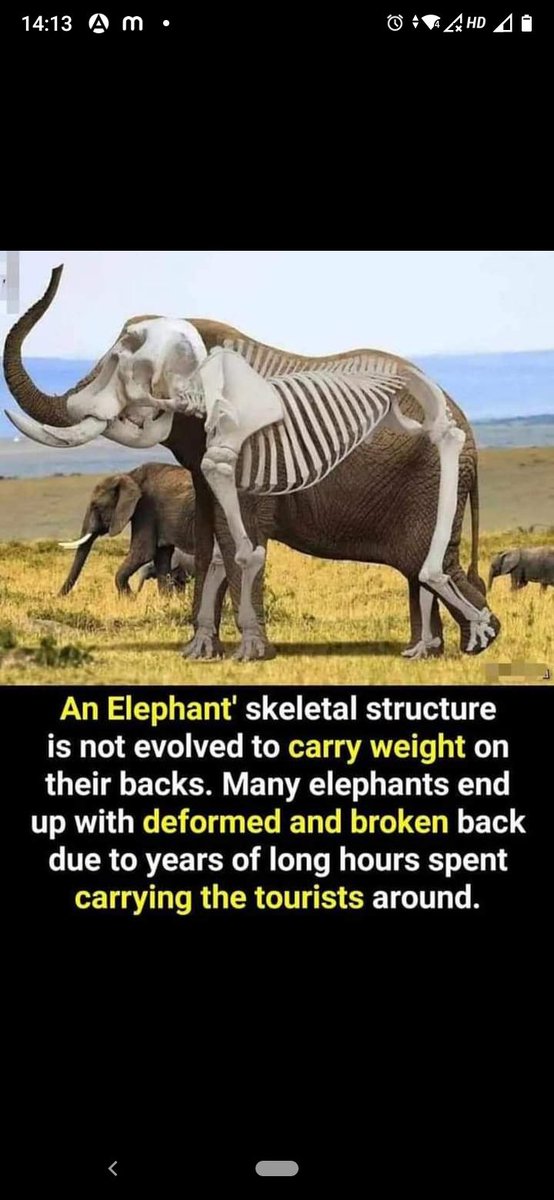 Chez_Em's tweet image. 