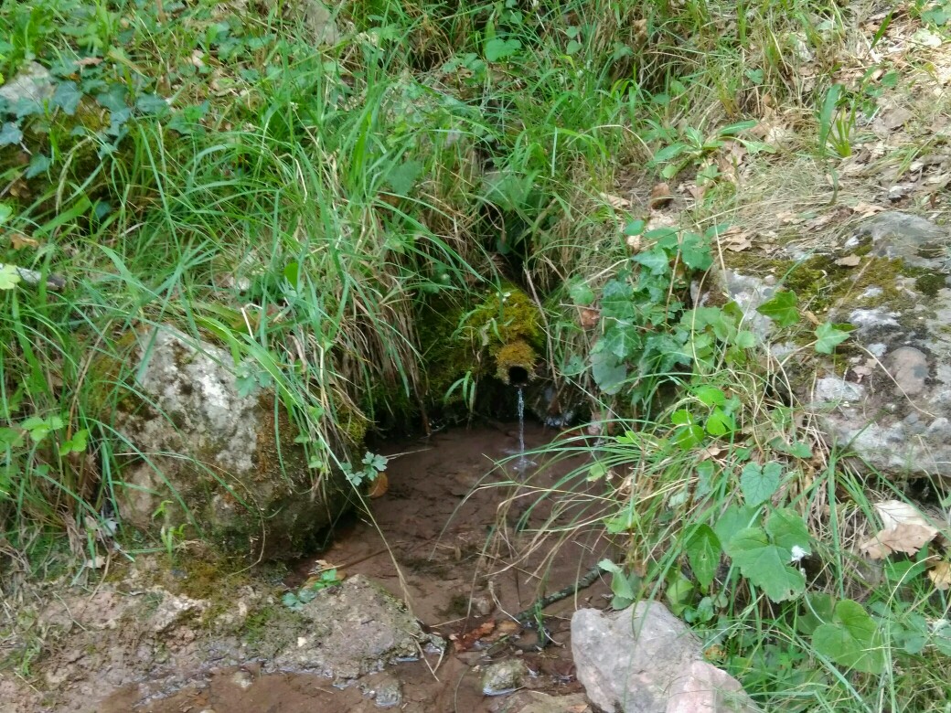 Burriach's tweet photo. Efectes de la crisi climàtica: a escala global, el cicle del carboni en risc de desestabilització: https://t.co/jx1L7cKyT4; a escala local, les fonts s'assequen: https://t.co/VAb1t3XEyl @SerrLitCen @CREAF_ecologia #ProjecteFonts https://t.co/WJWdDJ27RK