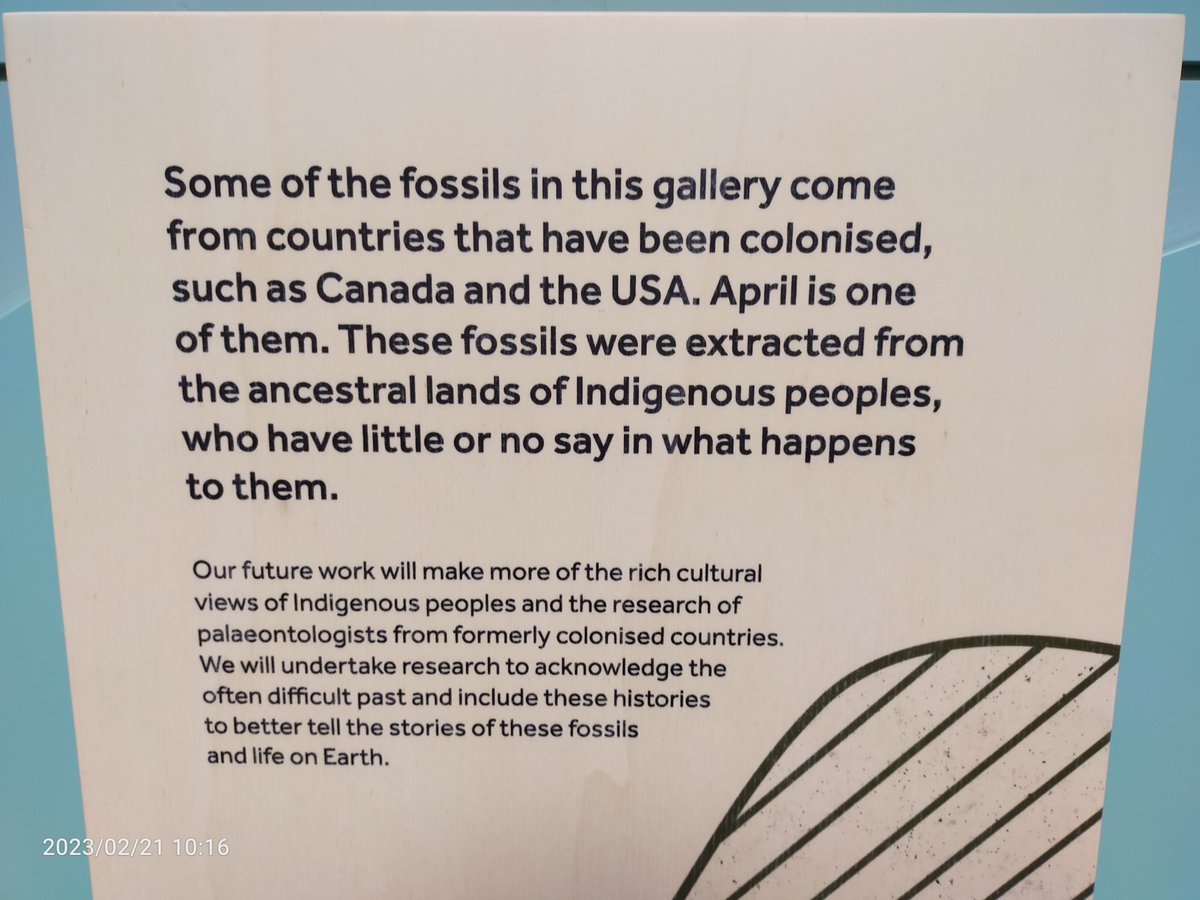 John Nudds (@lagerstattejohn) on Twitter photo 6. And of course <a href="/McrMuseum/">Manchester Museum</a> has to join the woke brigade and make a comment on 'decolonisation', whatever that word means. If they'd bothered to ask me, all the dinosaurs I collected in North America were done so along with members of the Blackfeet Indian tribe in Montana !! 6. And of course <a href="/McrMuseum/">Manchester Museum</a> has to join the woke brigade and make a comment on 'decolonisation', whatever that word means. If they'd bothered to ask me, all the dinosaurs I collected in North America were done so along with members of the Blackfeet Indian tribe in Montana !!
