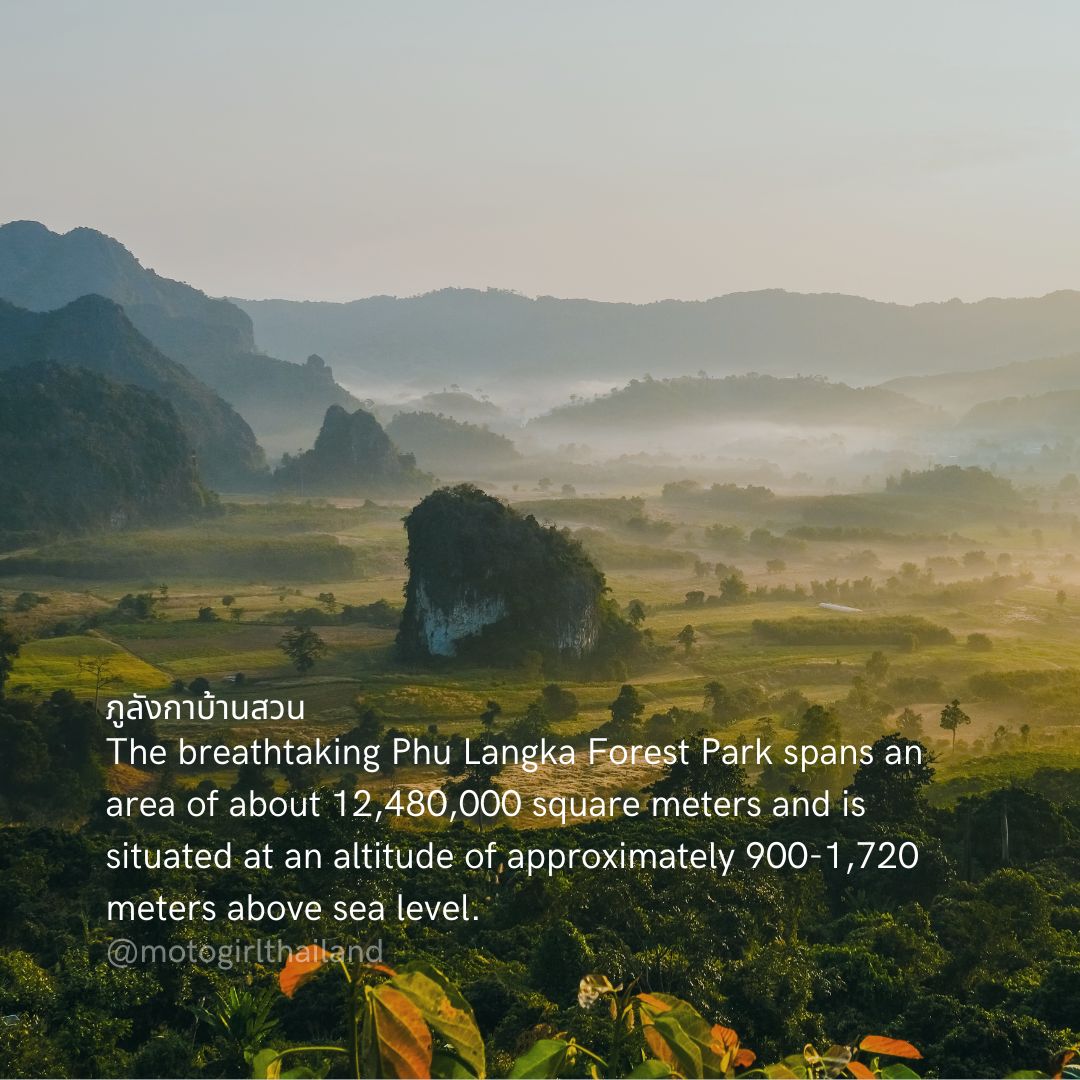 Zed_CM's tweet photo. The breathtaking 𝐏𝐡𝐮 𝐋𝐚𝐧𝐠𝐤𝐚 𝐅𝐨𝐫𝐞𝐬𝐭 𝐏𝐚𝐫𝐤! For more amazing places and tips, Like/Follow/Share.  #thailand #motorcycle #ridinginthailand #motorbike #touringthailand #touringnorthernthailand #motosplore #motosploremaps #routeguide #amazingthailand #ภูลังกา #zedcm https://t.co/yjqzq2XAjr