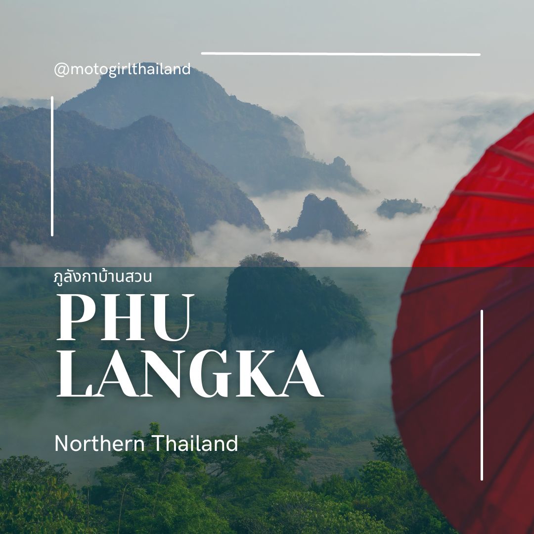 Zed_CM's tweet photo. The breathtaking 𝐏𝐡𝐮 𝐋𝐚𝐧𝐠𝐤𝐚 𝐅𝐨𝐫𝐞𝐬𝐭 𝐏𝐚𝐫𝐤! For more amazing places and tips, Like/Follow/Share.  #thailand #motorcycle #ridinginthailand #motorbike #touringthailand #touringnorthernthailand #motosplore #motosploremaps #routeguide #amazingthailand #ภูลังกา #zedcm https://t.co/yjqzq2XAjr