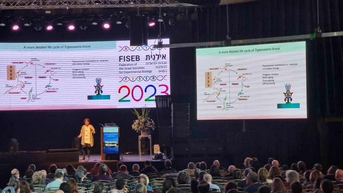 ILANITFISEB's tweet photo. #ILANIT2023: Our day began with insightful parallel morning sessions, followed by a coffee break, the exhibition, and a lecture from plenary speaker Donald E. Ingber on Human Organ Chips for Disease Modeling, Drug Development, and Personalized Medicine at the Herods Hotel Eilat. https://t.co/SscGnDHRCu