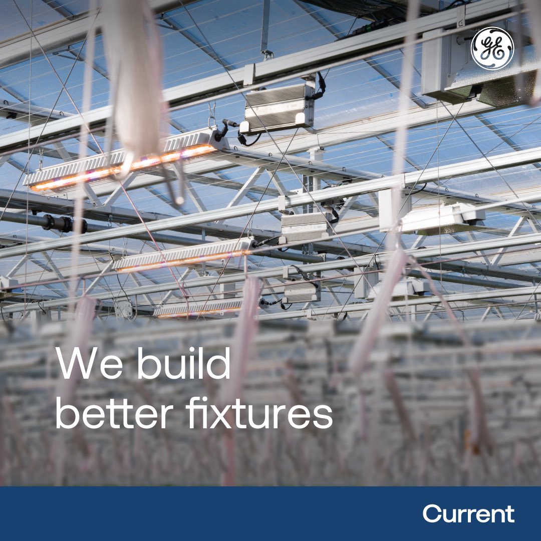 currenthort's tweet photo. Experience matters! With over 130 years of expertise, we provide scalable, reliable, and efficient lighting solutions for horticultural needs. Our innovative fixtures cultivate sustainably, supported by our exceptionaland dedicated team of lighting professionals.

#growlights https://t.co/nlkVfrjDpV