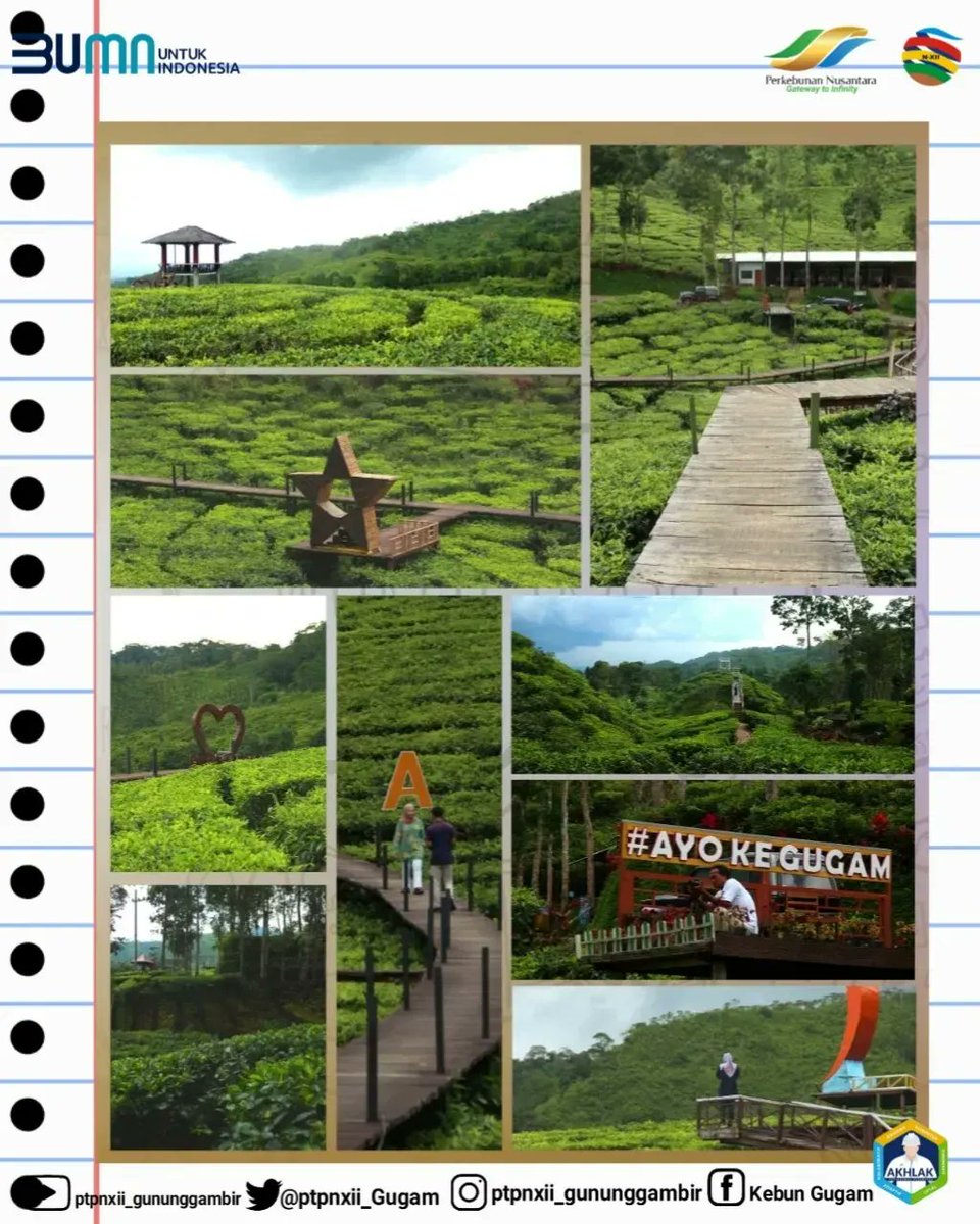 ptpnxii_gugam's tweet photo. Tempat wisata yang
mungkin belum pernah #KawanRolas
kunjungi.
Nikmati sensasi pemandangan kebun teh
luas di dekat pegunungan dengan lokasi
perdesaan yang berada di perbatasan
Jember, Lumajang, dan Probolinggo.
#KawanRolas bisa mengunjungi Wisata
Agro Rengganis yang berada di ggb https://t.co/vrysaRNXtU