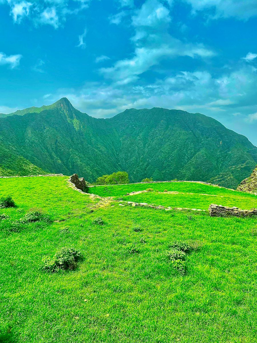 JAlgharb's tweet photo. ب #الصور

هنا جمال #الطبيعة . 
#جبل_الغارب #محافظة_قلوة #قرية_الغارب 
القرية الاثرية وسط الجبل والمدرجات الزراعية https://t.co/iazoZtDoJc