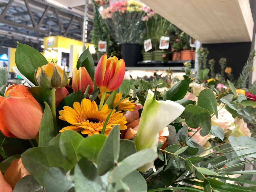 Flora Toscana (@floratoscana) on Twitter photo 