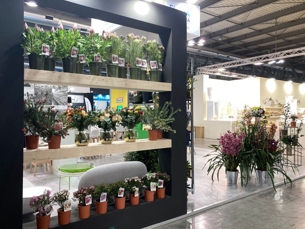 Flora Toscana (@floratoscana) on Twitter photo 