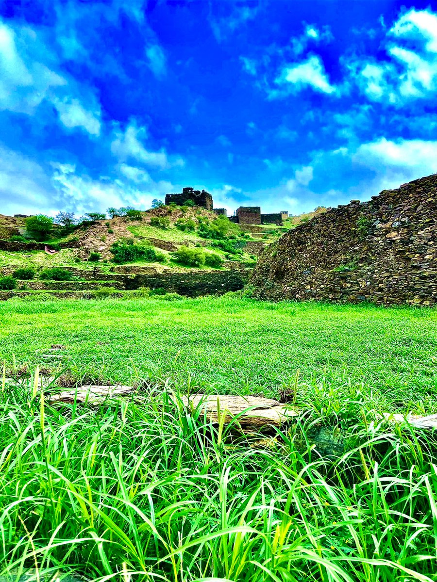 JAlgharb's tweet photo. ب #الصور

هنا جمال #الطبيعة . 
#جبل_الغارب #محافظة_قلوة #قرية_الغارب 
القرية الاثرية وسط الجبل والمدرجات الزراعية https://t.co/iazoZtDoJc