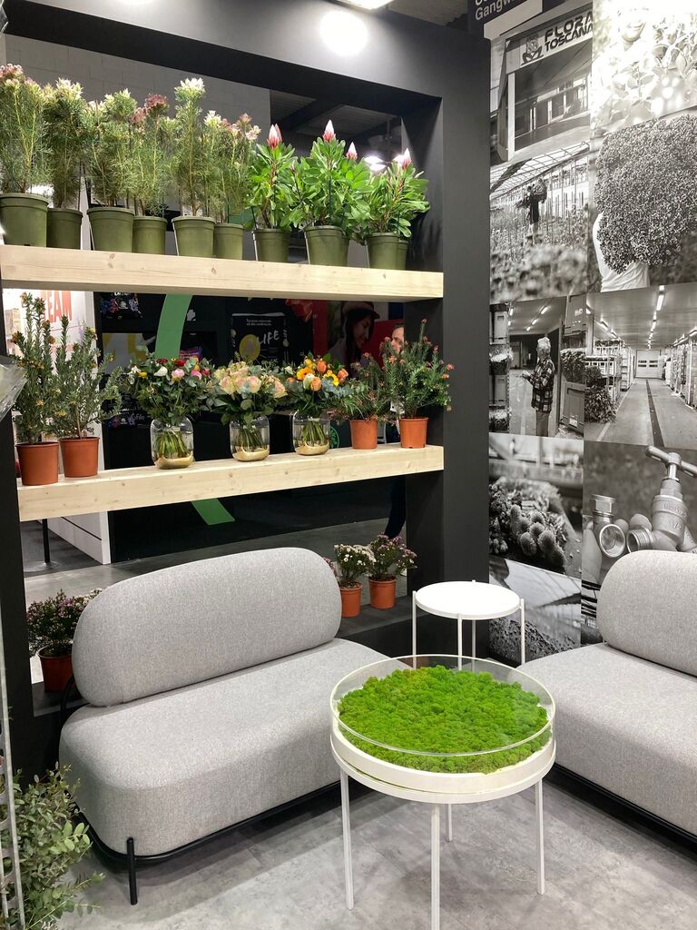 Flora Toscana (@floratoscana) on Twitter photo 