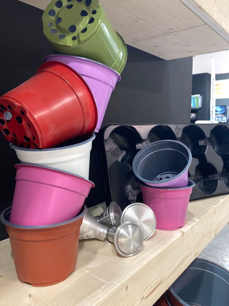 Flora Toscana (@floratoscana) on Twitter photo 